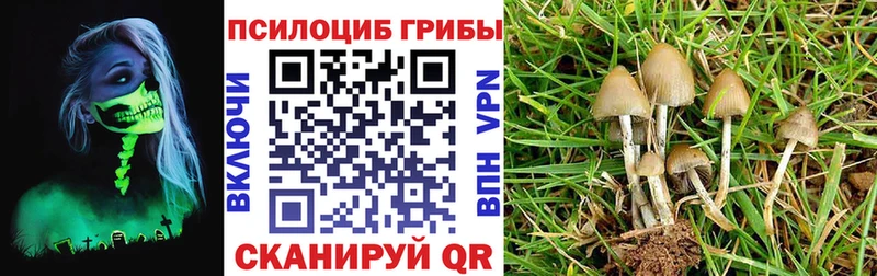 Галлюциногенные грибы мицелий  где можно купить наркотик  Разумное 